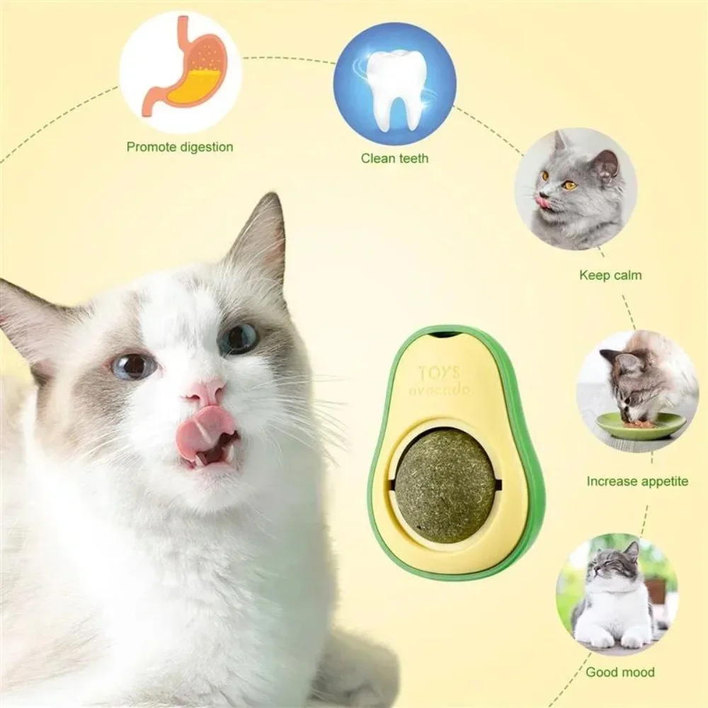 Catnip Wall Toys To Amuse Cats, Avocado Safe and Healthy Toys for Kittens To Chew, Teeth Cleaning Toys for Cats To Bite