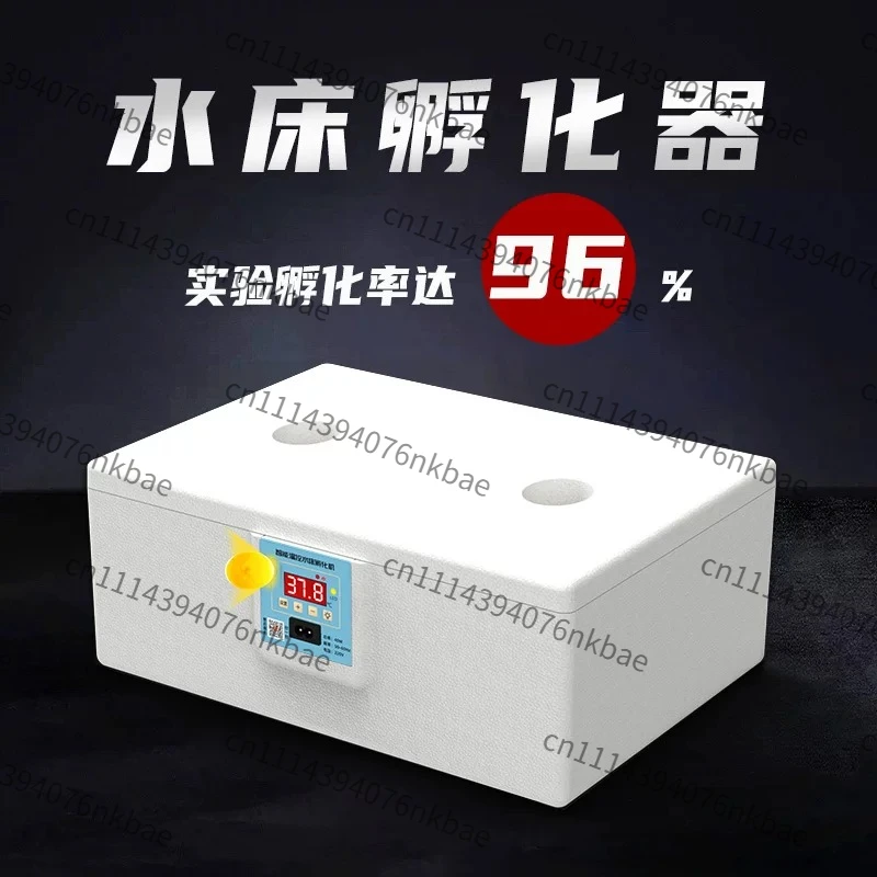 Water Bed Incubator Small Household Mini Incubator Automatic Intelligent Bird Egg Rutin Chicken Incubator