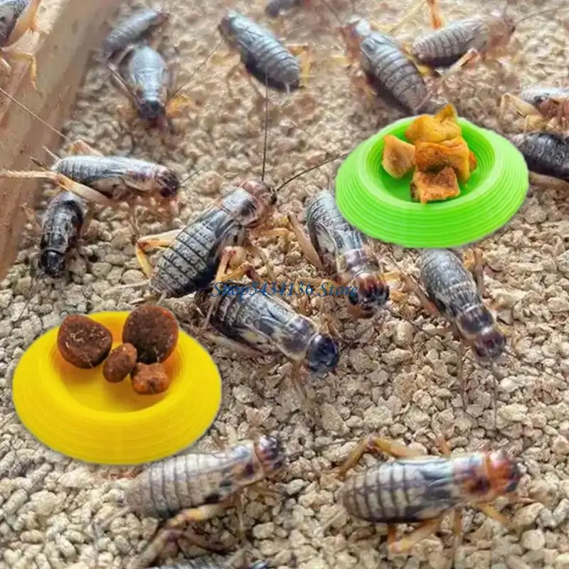 H7ED Paquete 24 platos plástico para proveedores insectos para cucarachas Dubia y animales artrópodos Strategy