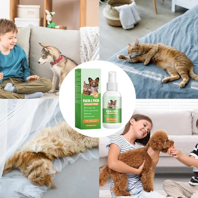 Spray anti-mouche pour animaux de compagnie, efficace, répulsif pour animaux de compagnie, araignée, chien, démontage, intérieur, sûr à utiliser pour garder la peau en bonne santé, 50ml