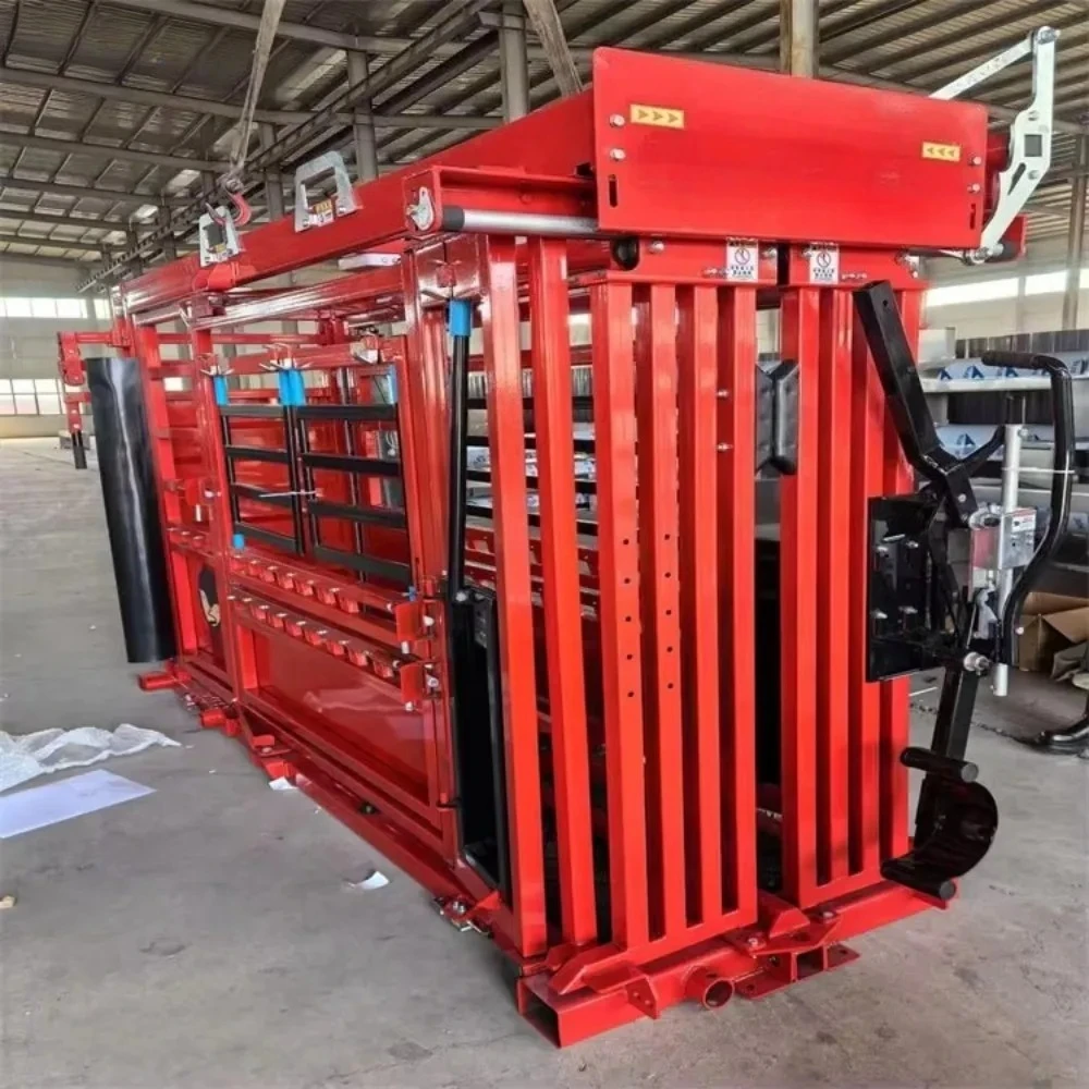 Automatic Cattle Weighing and Sorting Machine Precision Livestock Weight Scale System for Efficient Farm Herd Management