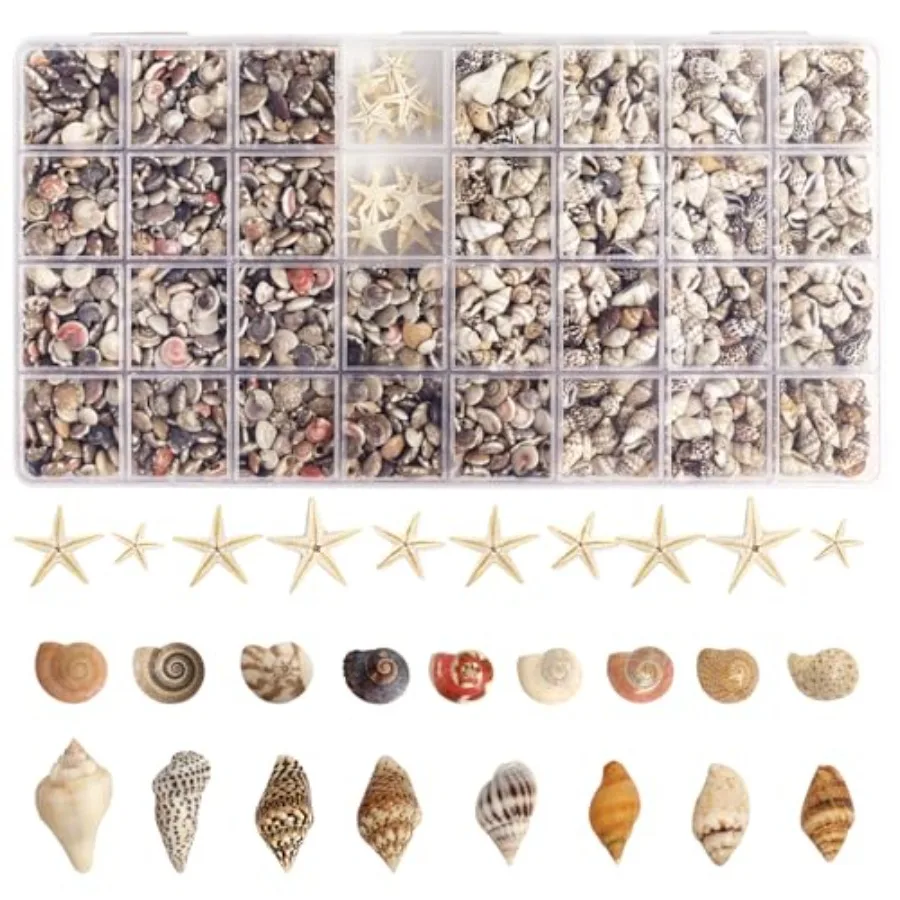 

2000 PCS Tiny Sea Shells Mini Shells for Crafting and 20 Small Starfish for Fish Tank and Vase FillerHome Decorations Candle De