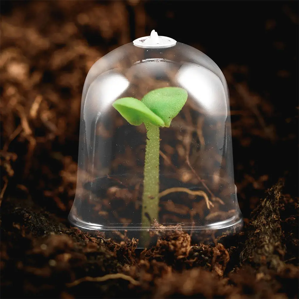 12Pcs Square Clear Plastic Dome Covers for Succulents Humidity Retention Space Saving Garden Cloche Protector Reusable Dome