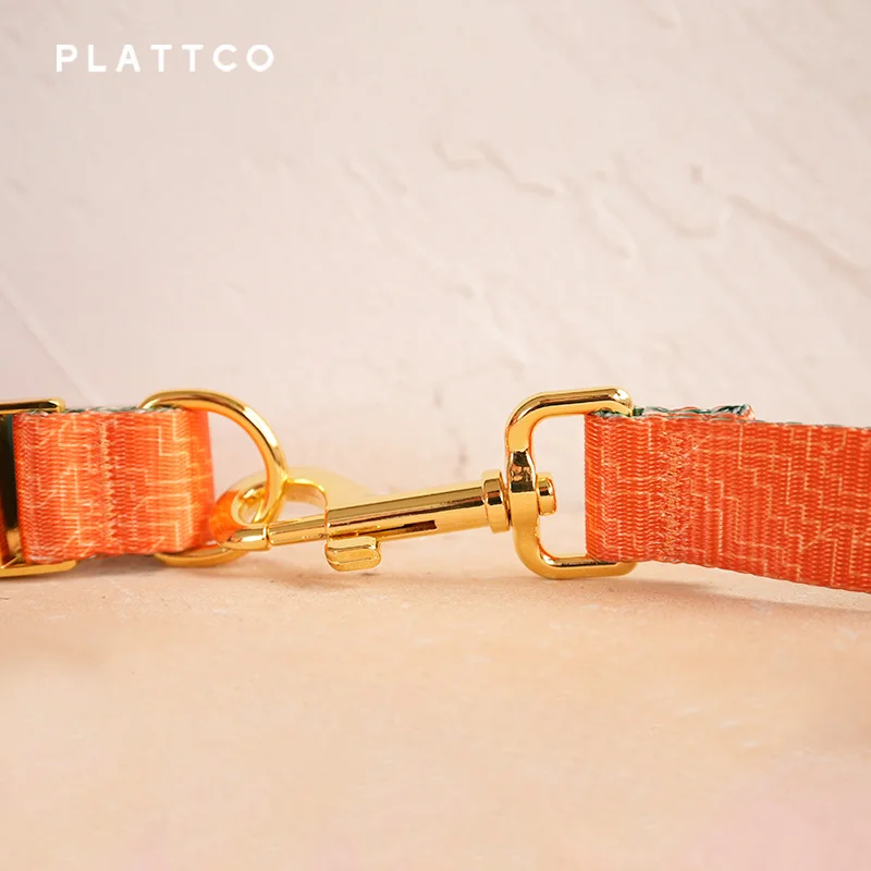 PLATTCO unique design dog set print ORANGE MAZE pattern and high-quality gold buckle 5 size PDC334YG&PDL334YG