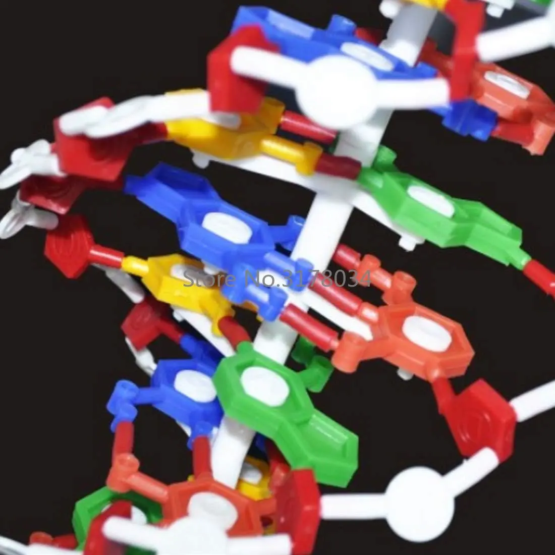 60cm Big Size DNA Model Kit Double Helix Model Components Instrument for Science Education