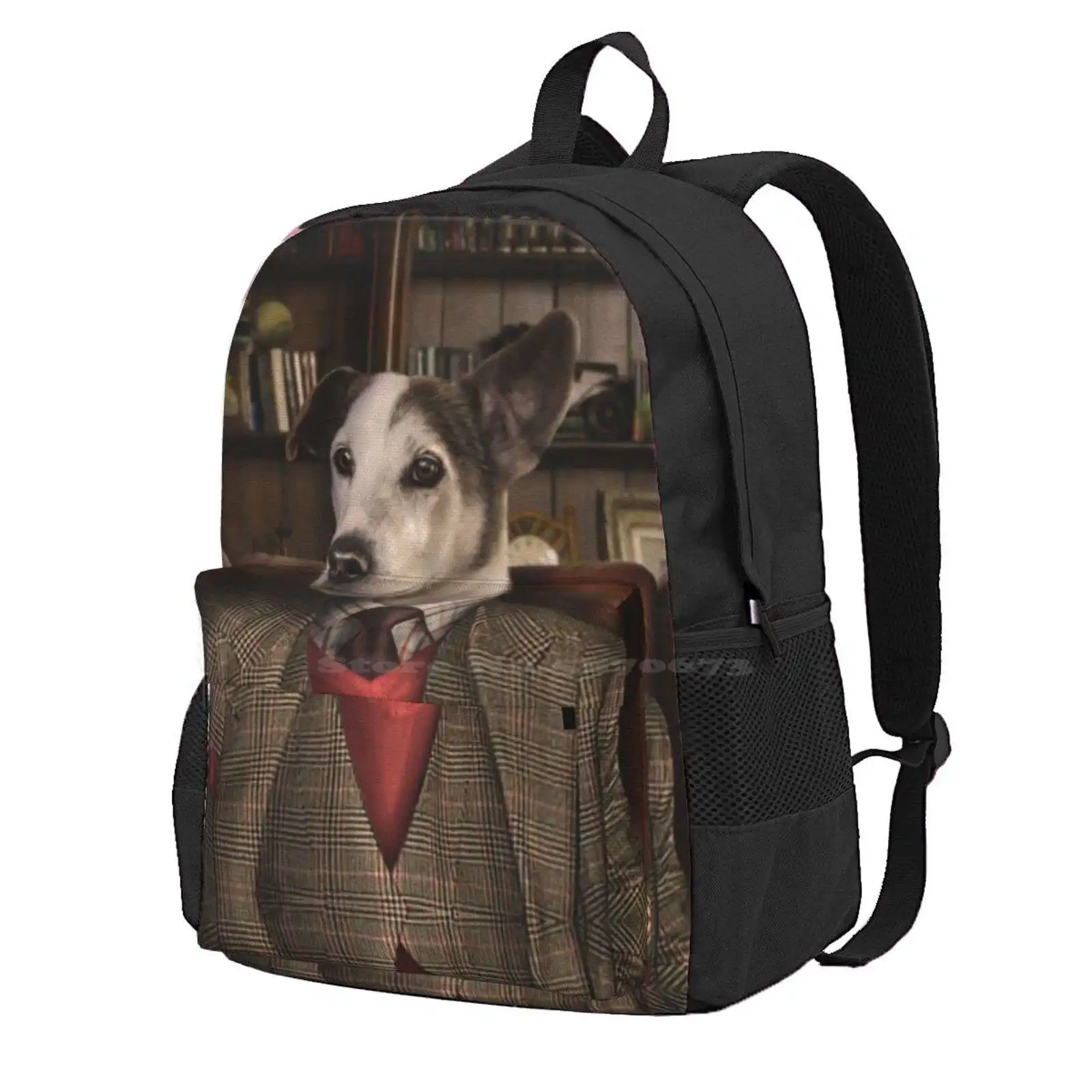 Jack Russell Dog Portrait - Paddy Hot Sale Schoolbag Backpack Fashion Bags Jack Russell Dog Pompous Pets Dog Images Dog