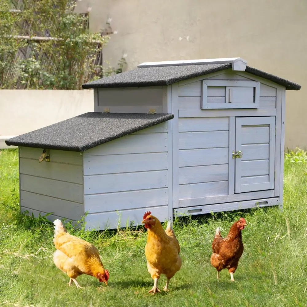 حظيرة الدجاج على ركائز مع عش وضع خشبي تحمي الدجاج من المفترسين، عش مرتفع، سهل التنظيف