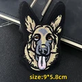 shepherd dog-1