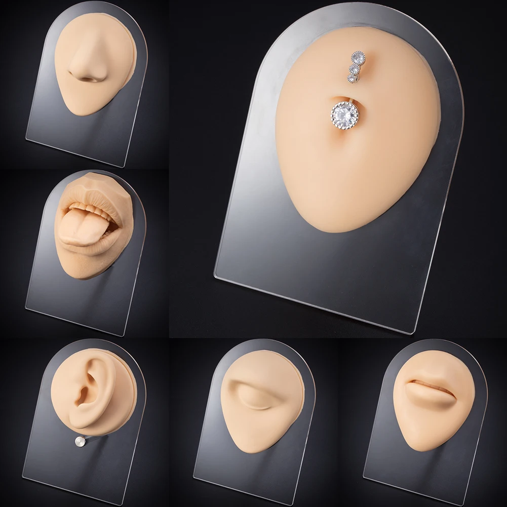 

1PC Silicone Flexible Navel Model Displays Soft Human Ear Mouth Eye Tongue Model Simulation for Jewelry Display Teaching Tool