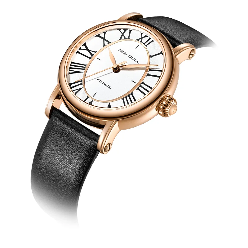 Seagull 38mm Men Automatic Mechanical Watch Roman Markers Classic Dress Watch Sapphire Stainless Steel Luxury Wristwatch 6026