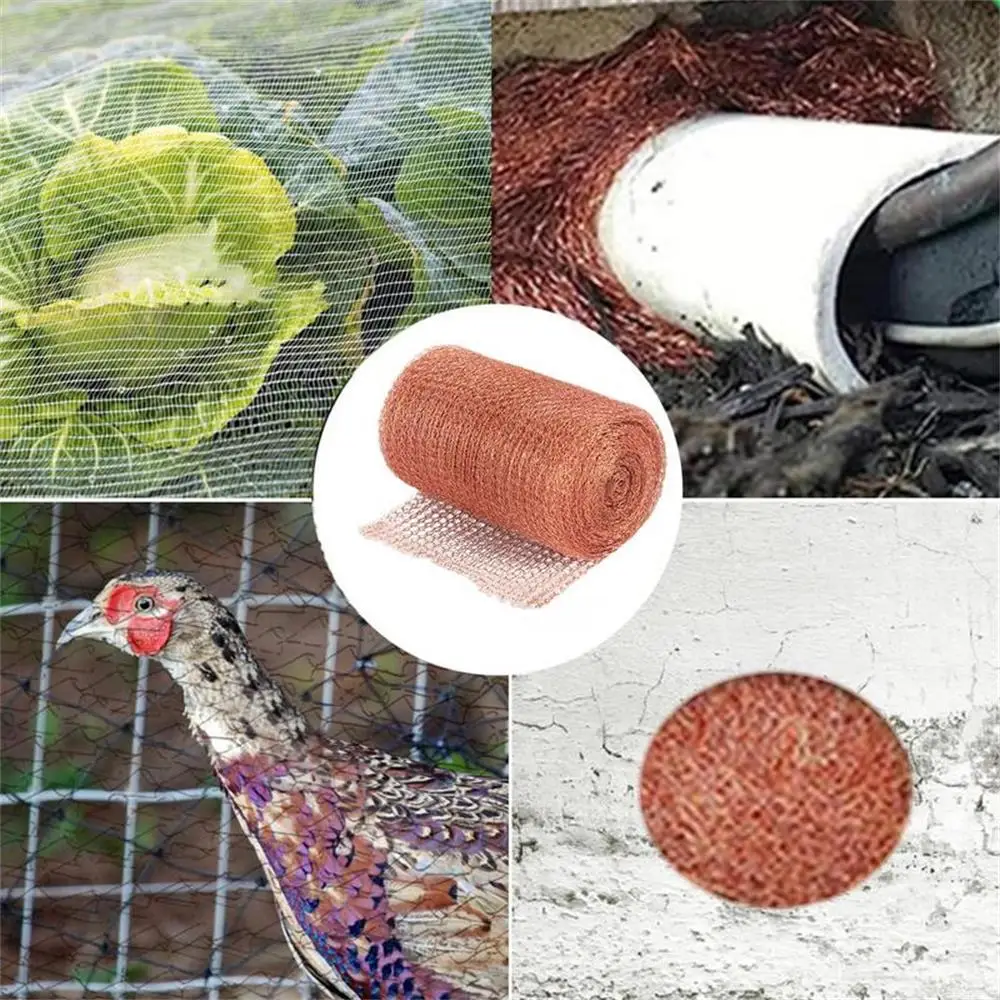 1 قطعة شبكة نحاسية نقية مضادة للحلزون مرشح الأسلاك النحاسية لتقطير منتجات حديقة البيرة المنزلية المخمرة #3