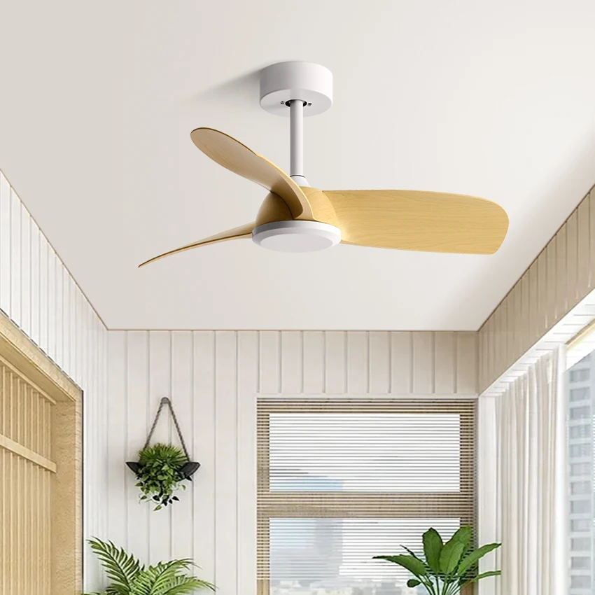FUMANJIA 24/36 Inch No Light Ceiling Fan DC Inverter Motor 6 Speed Remote Quiet Small Ventilation Fan for Balcony and Kitchen