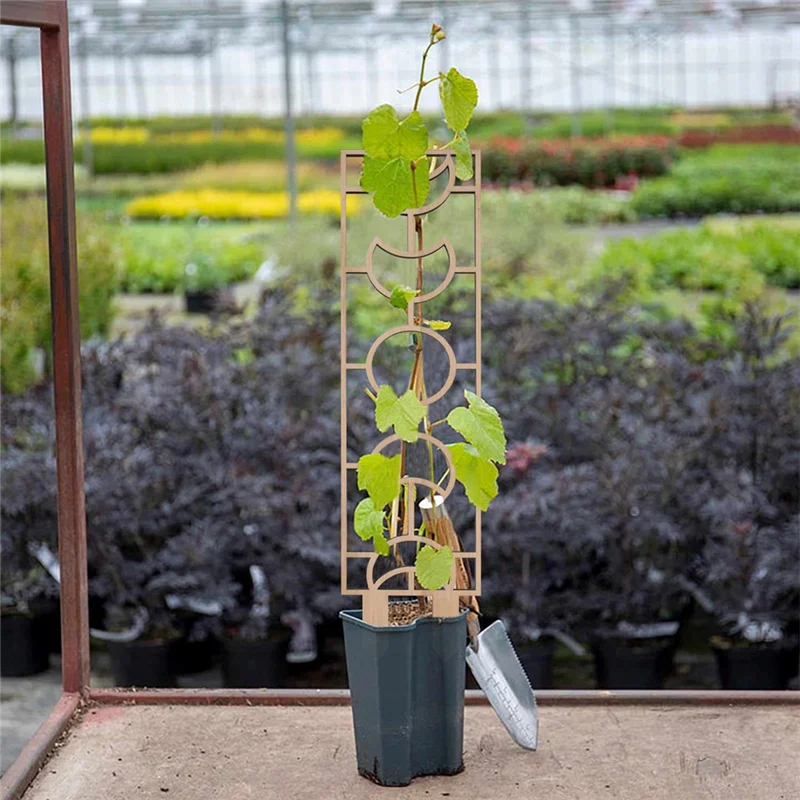 AB33-3PCS Wooden Honeycomb Plant Climbing Stand Horticultural Potting Stand Fixed Support Pole