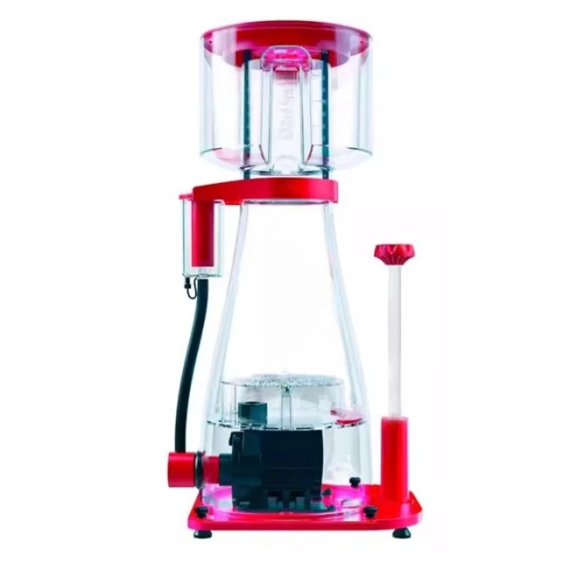 Seawater Eggs, Dc W…