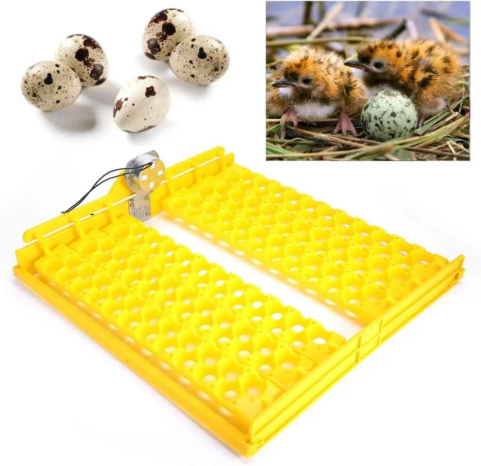 132PCS Automatic Egg Incubator Turning Tray, Bird\'s egg Tray  Automatic Egg Incubator Tray Incubation Accessory(110V 220V )