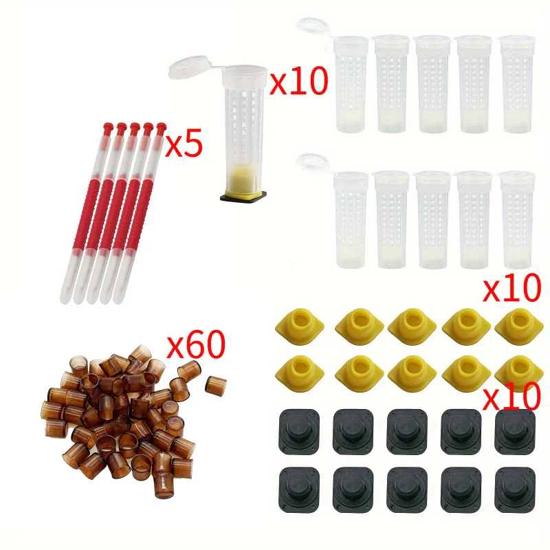 Full Queen Rearing Kit 60 Queen Breeding Cups 10 Queen Cages 5 Larva Transfer Needles Plastic Bee Grafting Accessories Apicultur