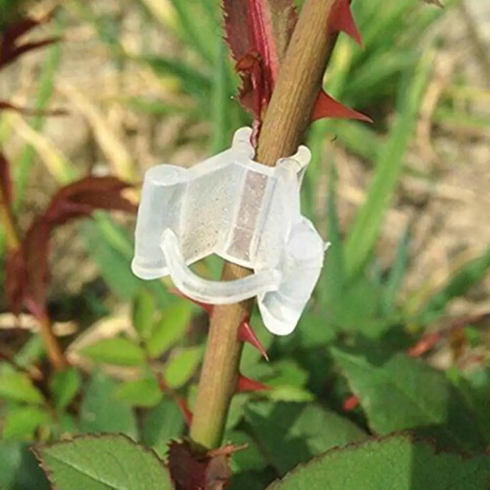 Clips de injerto de plantas de piezas, herramientas de jardín de plástico para pepino, berenjena, sandía, boca redonda, boca plana, abrazadera anticaída, 50 Uds.