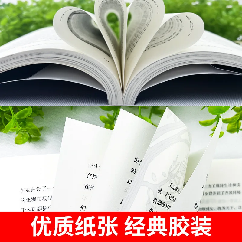 Allow Everything To Happen, Improve Oneself, Heal and Grow, Philosophy of Self-healing, Inspirational Books