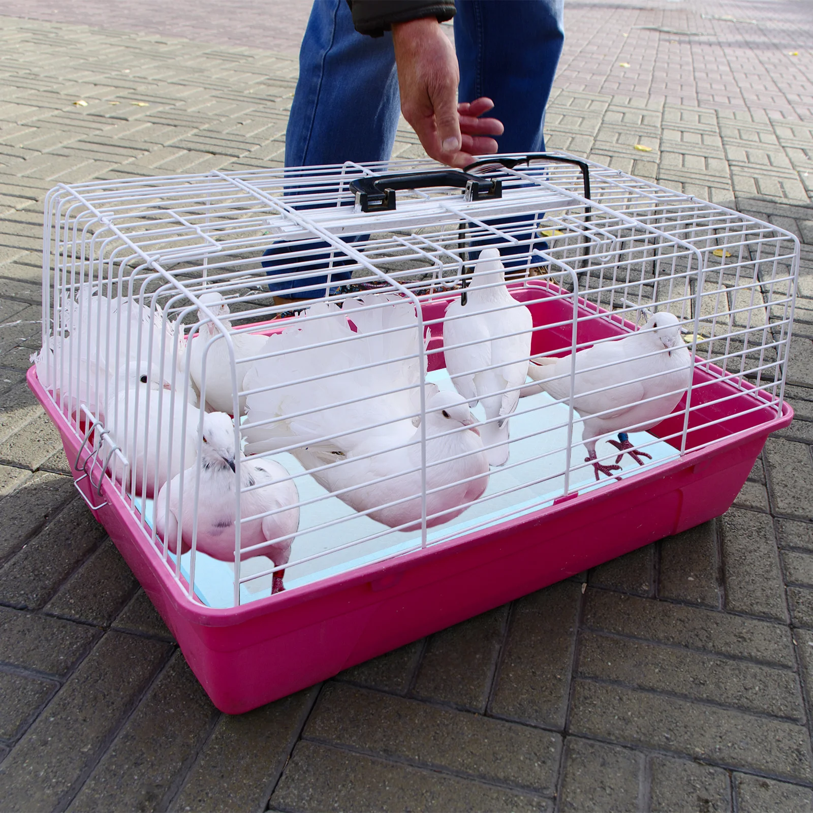 

10Pcs Water-Absorbing Bird Dung Pad Safe Pe Non-Woven Material Bird Cage Liner Pad Reusable Long-Lasting Hygienic Cage