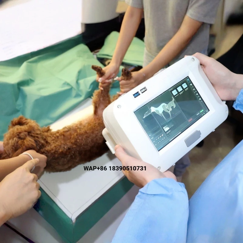 Medical Veterinary X-ray Photography Digital X-ray Machine Clinic Veterinary Portable X-ray Machine Built-in Computer