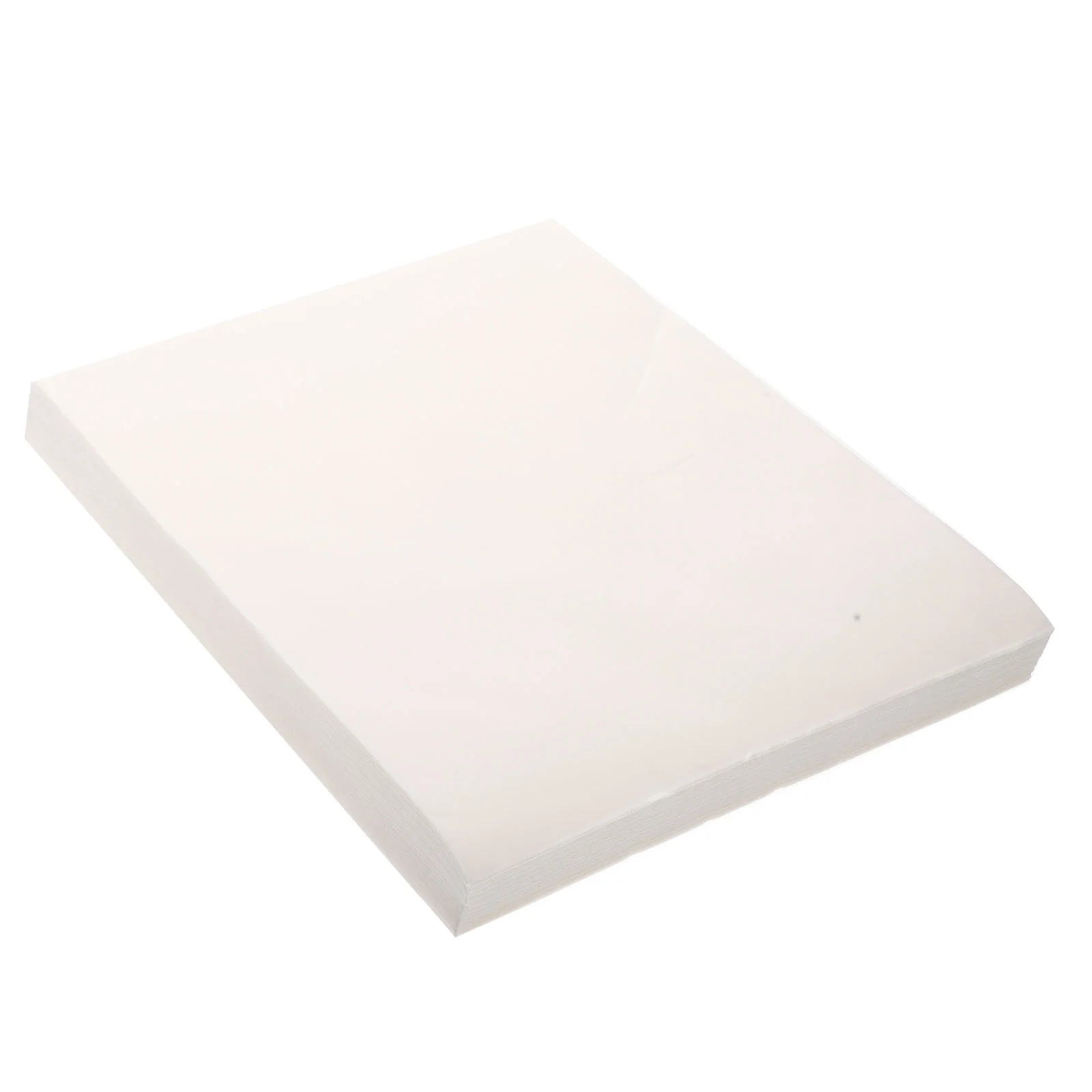 

100 Pcs Feces Paper Birdcage Absorbent Pad Parrot Accessory Bottom Liner Urine Cushion