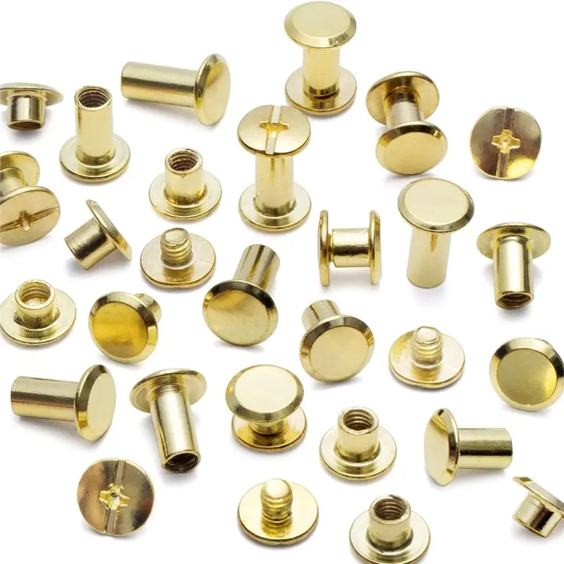 ABLN-110Pcs Chicago Screws Leather Rivets Assorted Screw Rivet Chicago Binding Screws For Decorate And Repair Leather Craft C