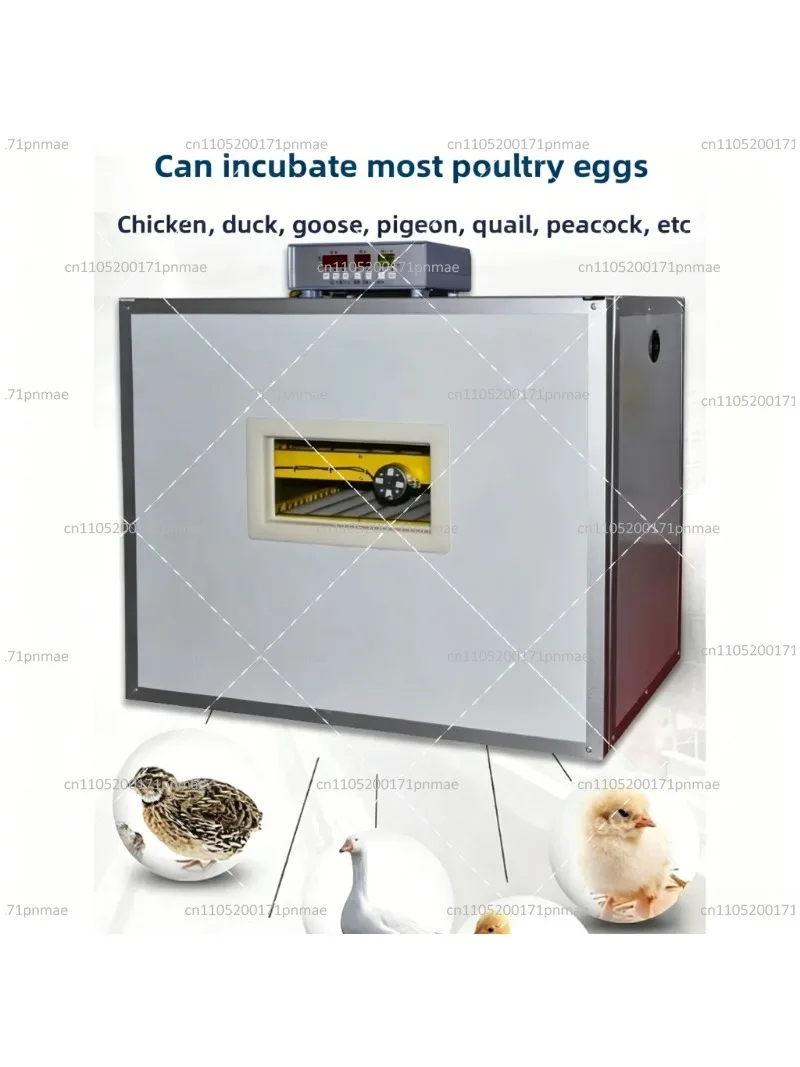 Small Digital Egg Incubator for Hatching Chicken Duck Goose Quail Eggs with Auto Turning