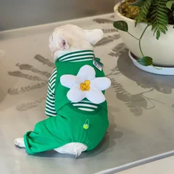 Four-legged Fleece Clothes for Pet, Fleece Pants, Flower Clothes, Autumn and Winter