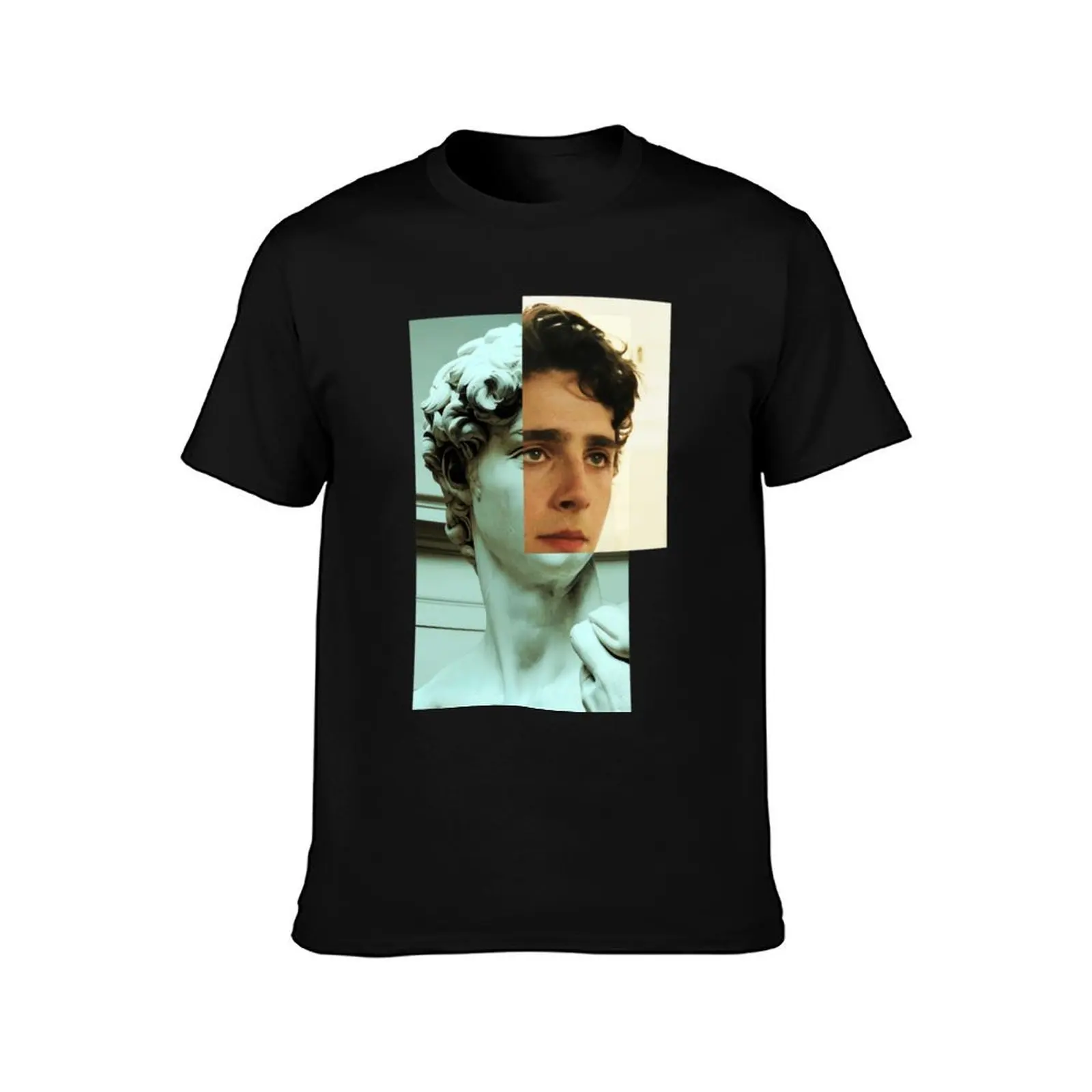 Timothee Chalamet as David Statue T-Shirt funny meme t-shirts summer top mens designer t shirt