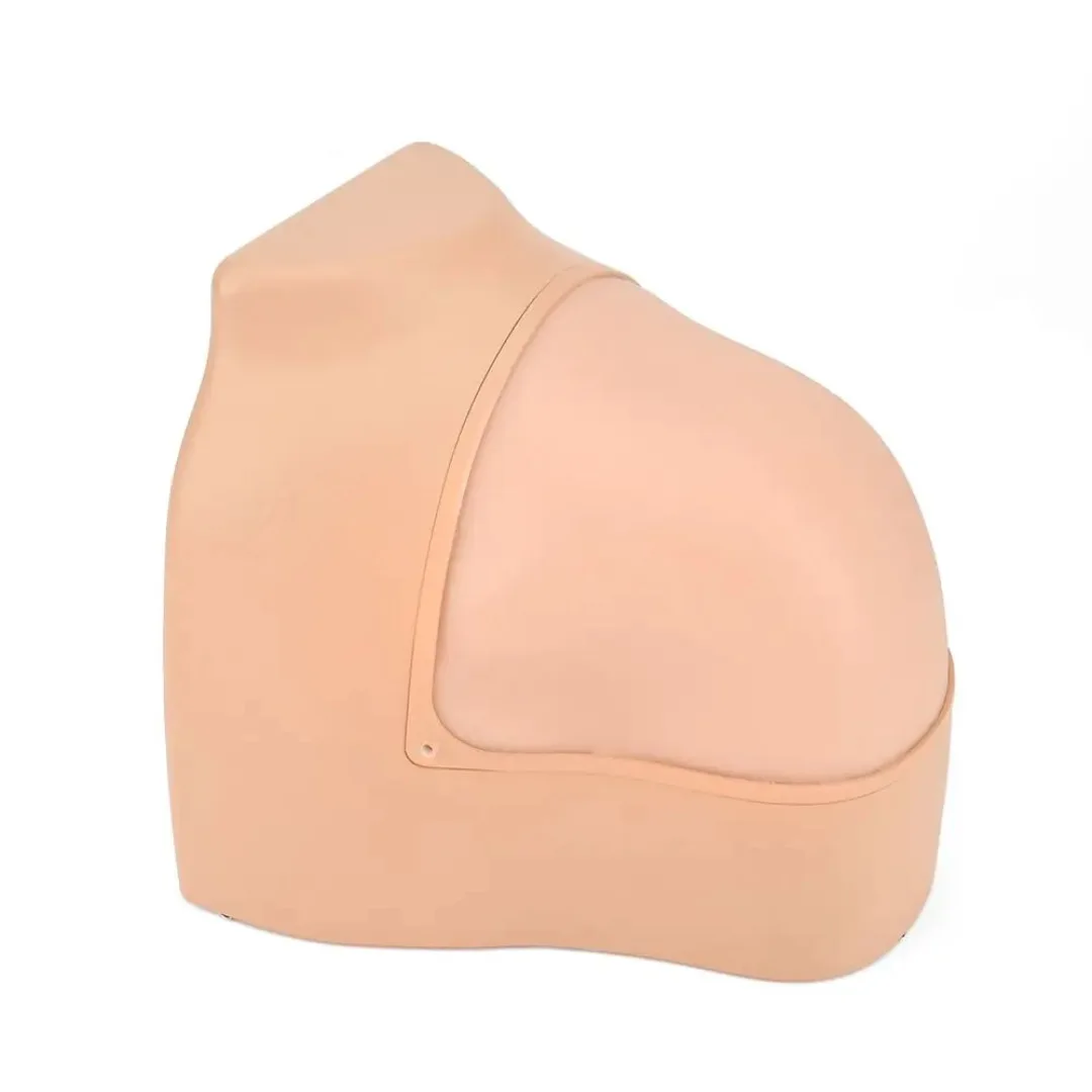Arthroscopic Trainer Simulation Arthroscopic Model, Shoulder Joint Model, Simulation Arthroscopic Model