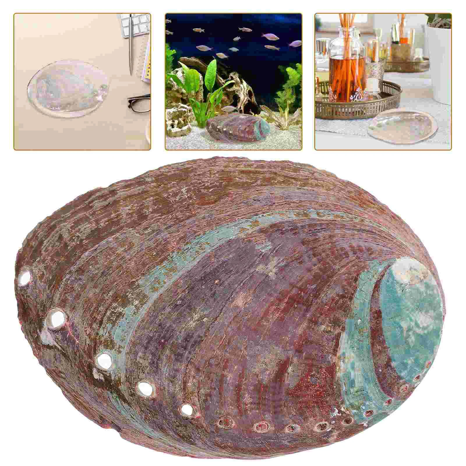 Aromatherapy Stand Temple Burning Container Decorations Shell Bowls for Abalone Craft Natural Adornment