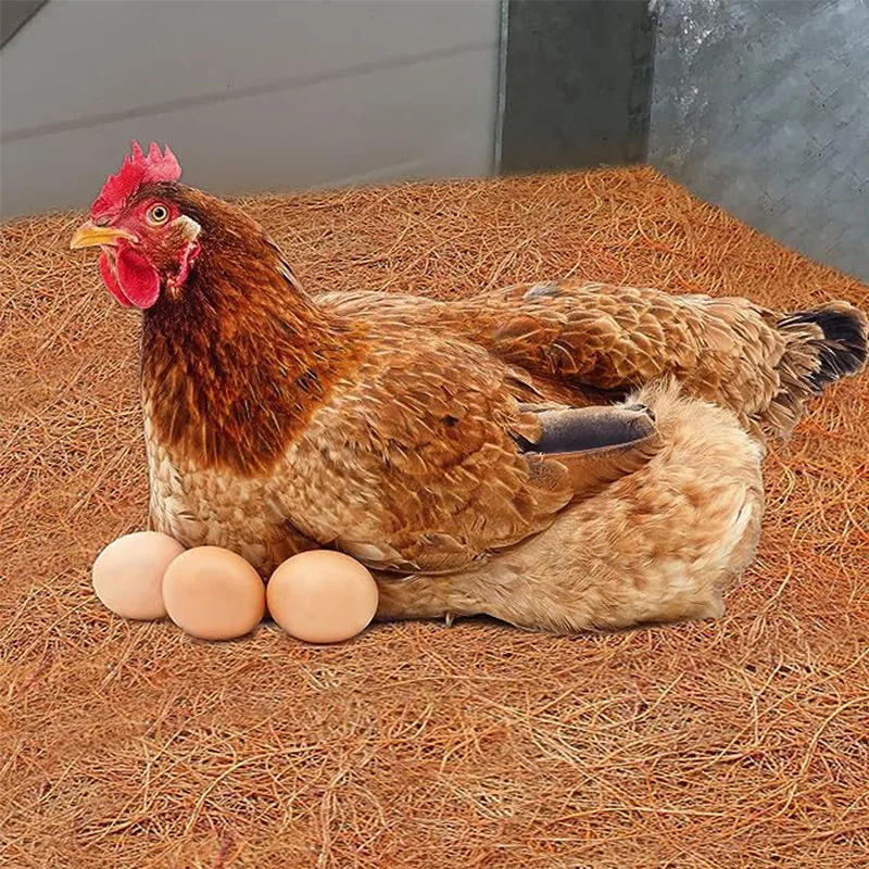 Nesting Liner Nest Box Chicken Mat, Nest Mat Box Liner, Chic