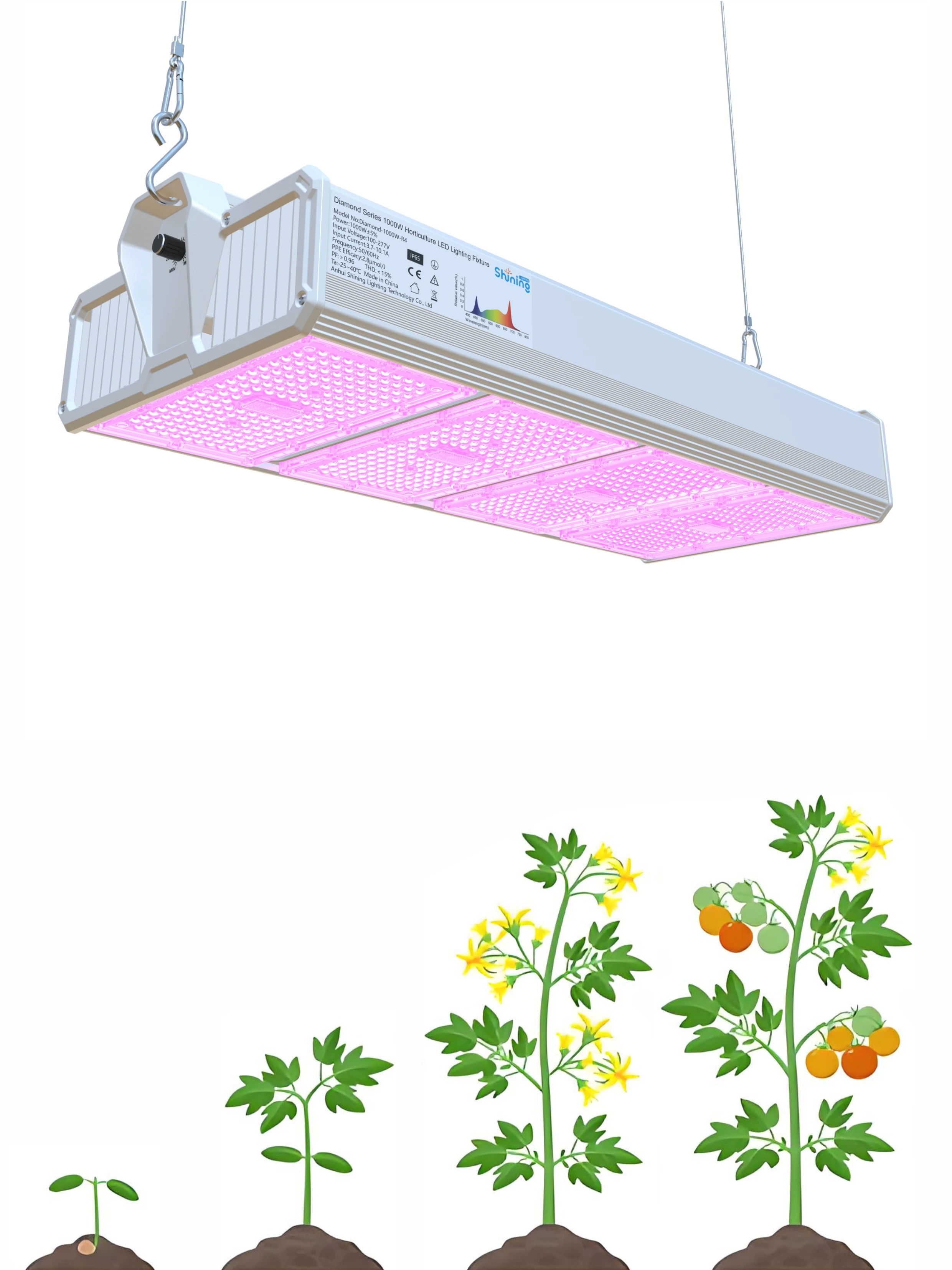Shining Lighting Full Spectrum LED Grow Light 800W/1000W/1200W for Seedling, Flowering, Fruiting – Indoor Plants, Greenhouse