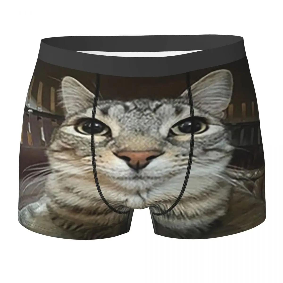 Boxer Underpants Shorts Cat Looking Directly At You Panties Men Ventilate Underwear for Homme Man Boyfriend Gifts