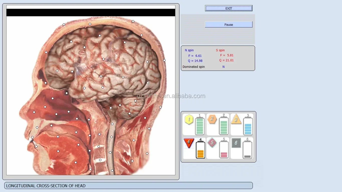터치스크린 오리지널 바이오플라즘 9D NLS 건강