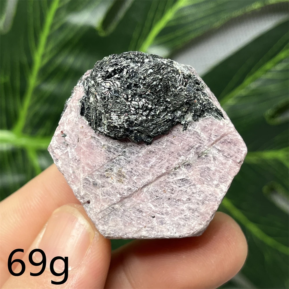 Natural Gemstone Ruby Particle Crystal Black Mica Tourmaline Symbiotic Mineral Specimen Home Room Decoration Collection Healing