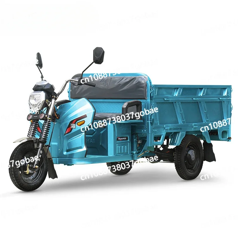 Electric Tricycle Fruit Truck Load King Cargo Express Vehicle New Household Battery Vehicle Agricultural Vehicle