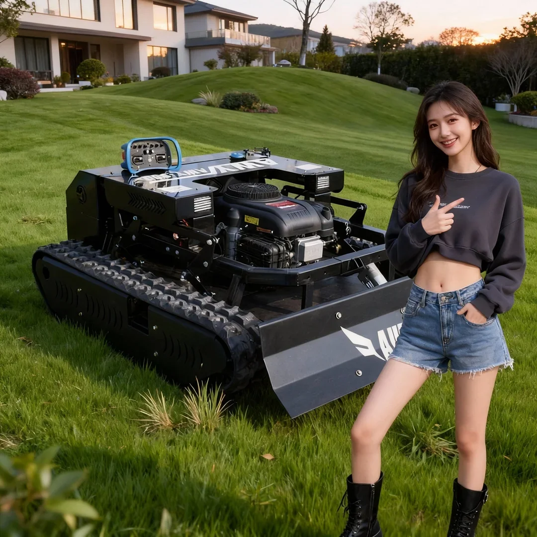 

Customized Lawn Mower Core Engine Motor Component CE/EPA Certified 2 in 1 Mowing Snow Shoveling One-On-One Beauty Sales