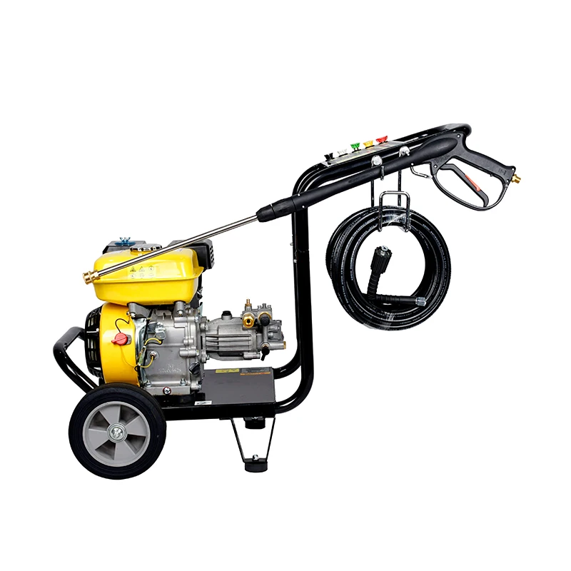 Petrol Car Wash Equipment Car Pressure Washer High Pressure Cleaners