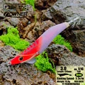 3.0 516 RED RACK