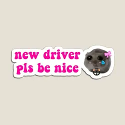 Criceto triste nuovo Driver Pls Be Nice Magnet bambini Colorful Baby Decor frigorifero divertente Magnetic Home Toy Stickers Holder