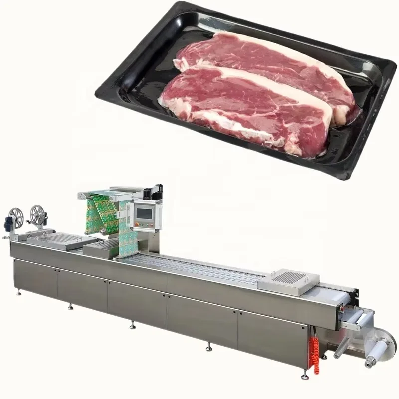 Automatic Vacuum Skin Packaging Meat Thermoforming Machine Tray Sealer Commercial Sale Support Custom
