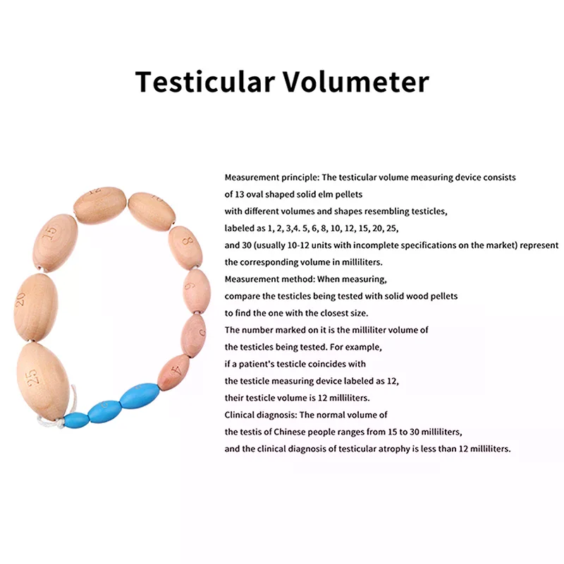 

12 Kinds Of Size Wooden Orchidometer Testis Volume Meter Testis Volume Measurement For Testis Size Measure Male Tanner Stage