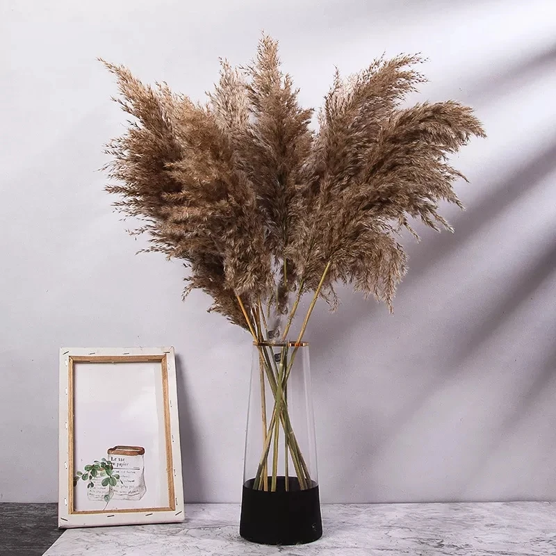 

20 Pcs White Dried Pampas Grass Decor Wedding Flower Dried Pampas Christmas Decor Artificial Flowers Fall Decor