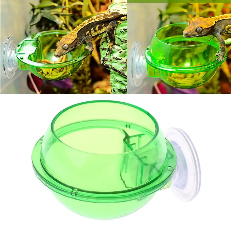 Suction Cup Feeder Anti-Escape Reptiles Water Bowl Worm Live Fodder Container for Gecko Iguanas