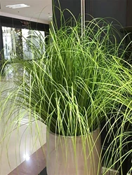 55cm Artificial Reed Grass Large Fake Onion Grass Plants Tropical Green Plants Leaves Bouquet PVC Grass For Wedding Garden Offic