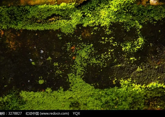 2 rampes de récupération en sable simulé de 132 mm, planche d'évasion, décoration pour voiture RC 1/8 1/10 1/12 1/14 SCX10 TRX4 D90