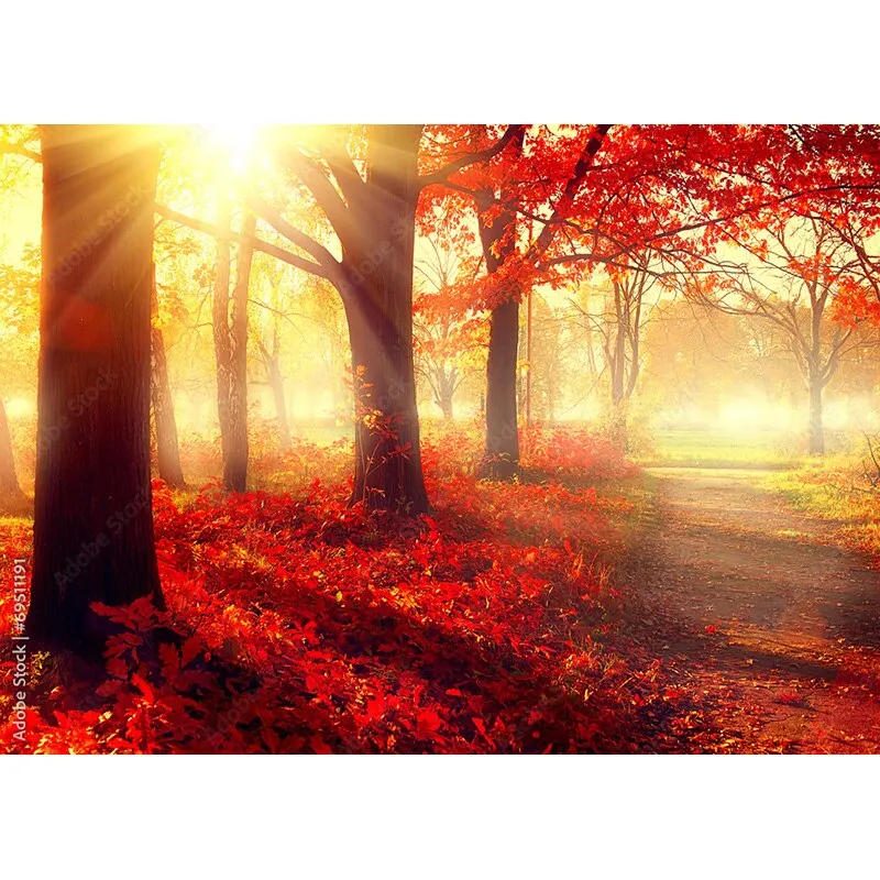 SHENGYONGBAO Natural Scenery Photography Background Fall Leaves Forest Landscape Photo Backdrops Studio Props QQTT-01