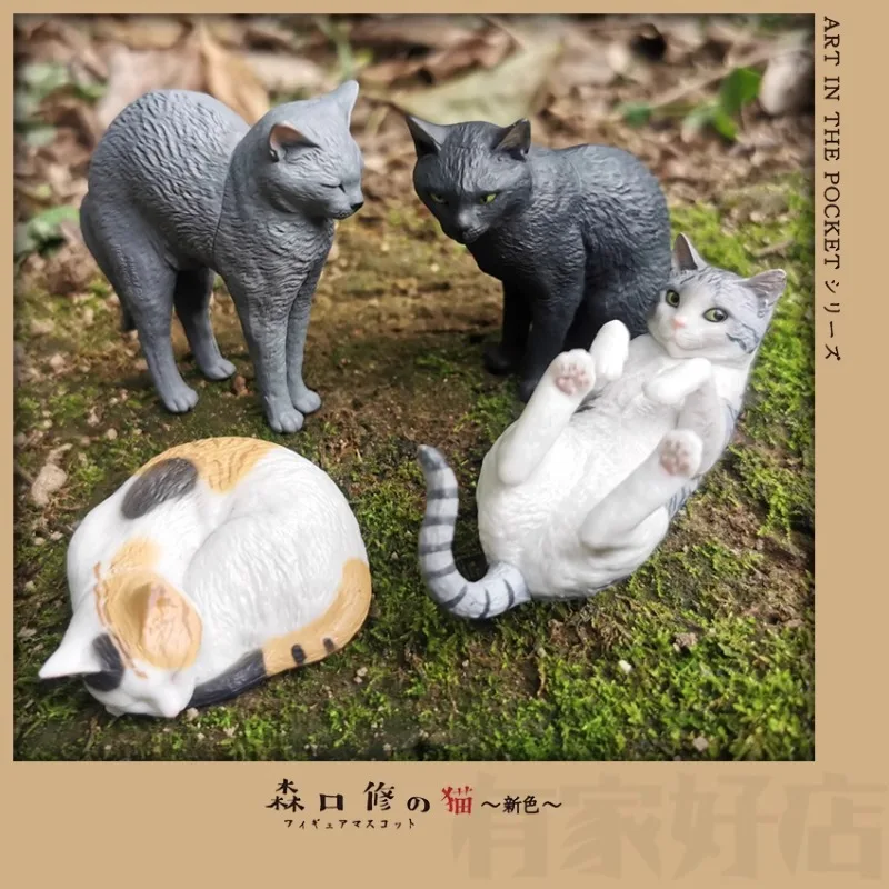 Originale KITAN CLUB Gashapon Cat Routine Black Cat Qversion Animal Action Figure Model Toys Gifts Cartoon Character Collection