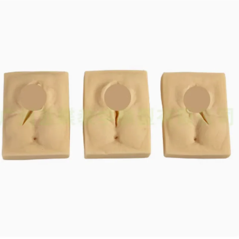advanced-vulva-suture-practice-model-perineal-incision-suture-practice-model-vulva-incision-suture-model